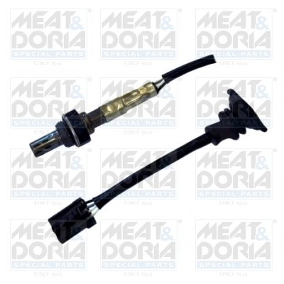 Oxygen Sensor
